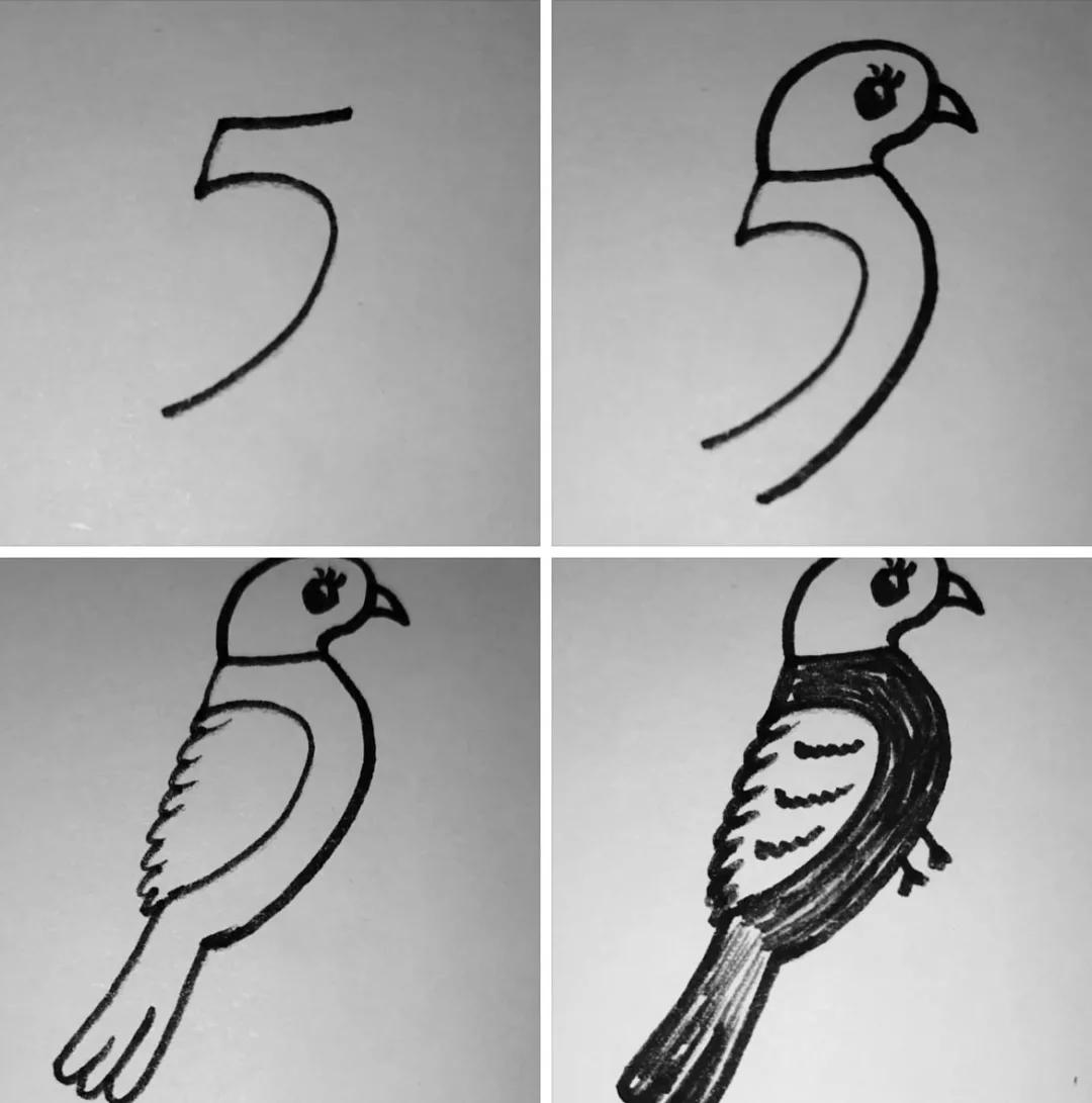 کشیدن پرنده با عدد 5