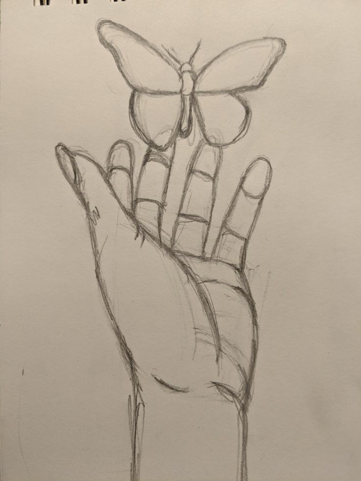 طراحی دست و پروانه