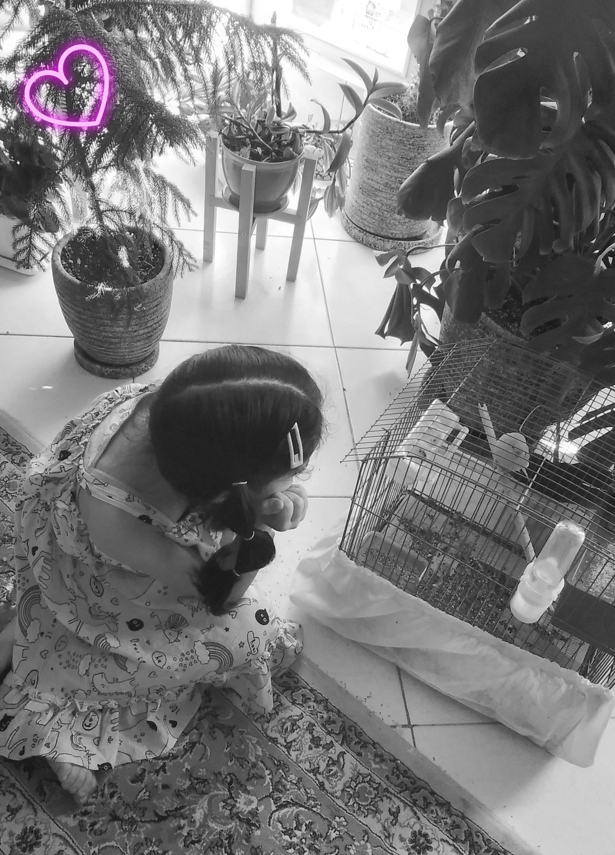 دختری  تنها که با مرغ عشق حرف میزنه