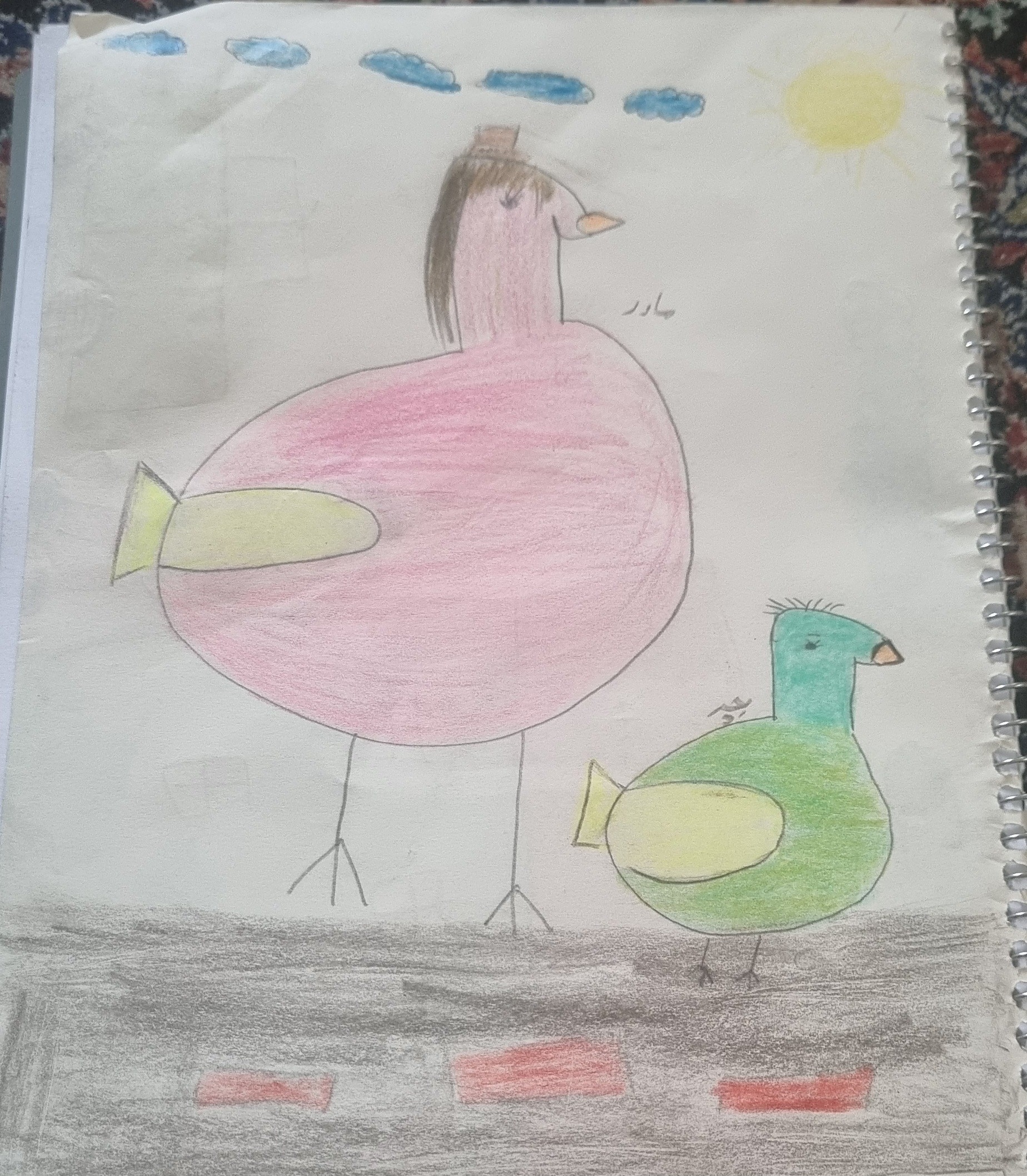 جوجه و مادرش