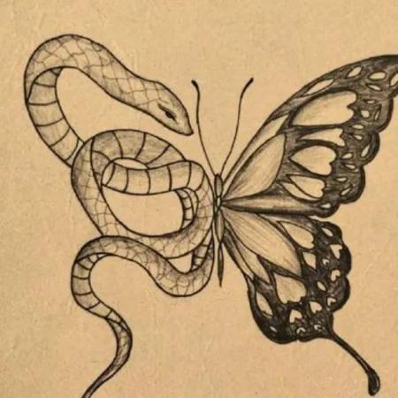 اسکچ پروانه
