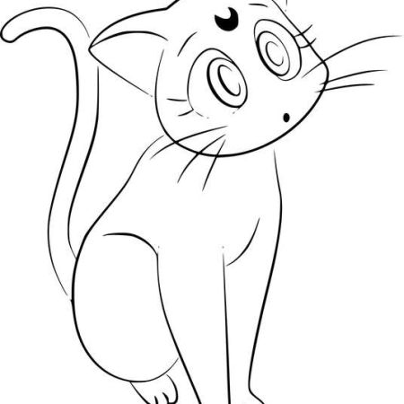 ایده نقاشی گربه از انیمه ملوان ماه