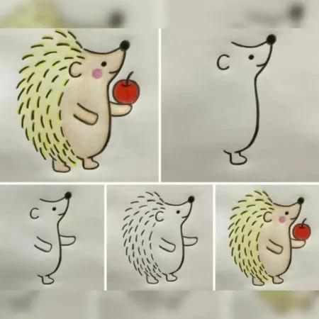 مراحل کشیدن جوجه تیغی
