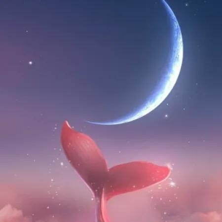 عکس پس زمینه طرح پری در