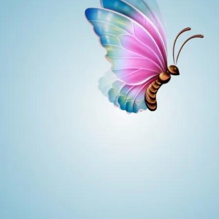 پروانه ی رویایی