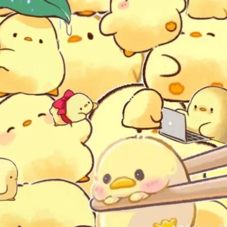 جوجه🐥