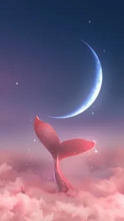 عکس پس زمینه طرح پری در
