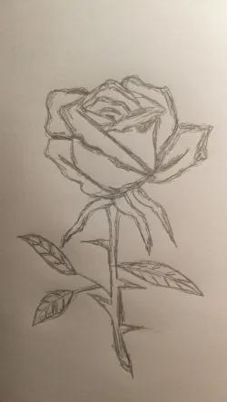نقاشی گل رز
